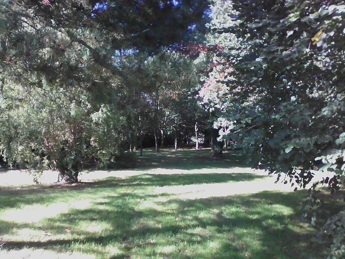 Lezardrieux *