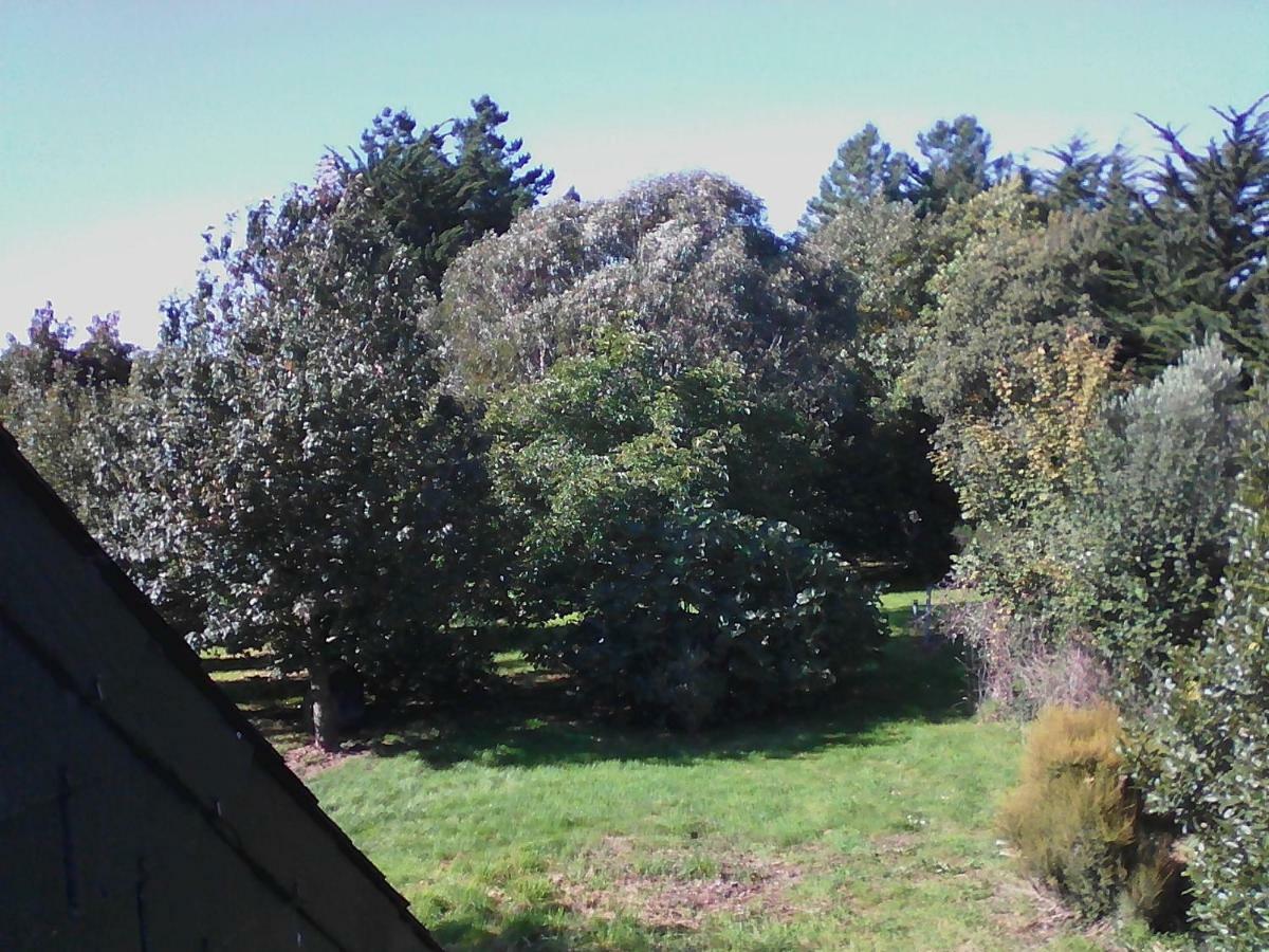 Holiday home Lezardrieux *