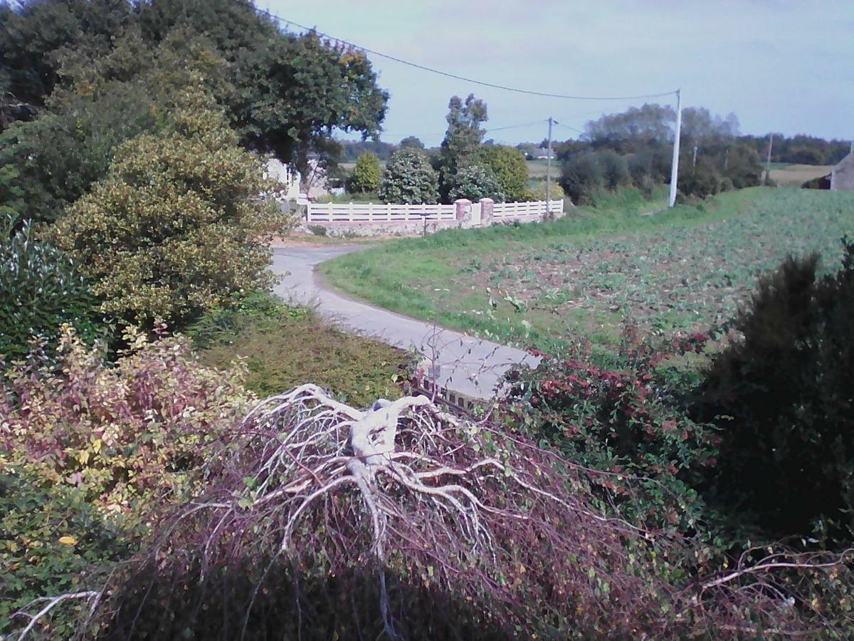 Lezardrieux Holiday home *